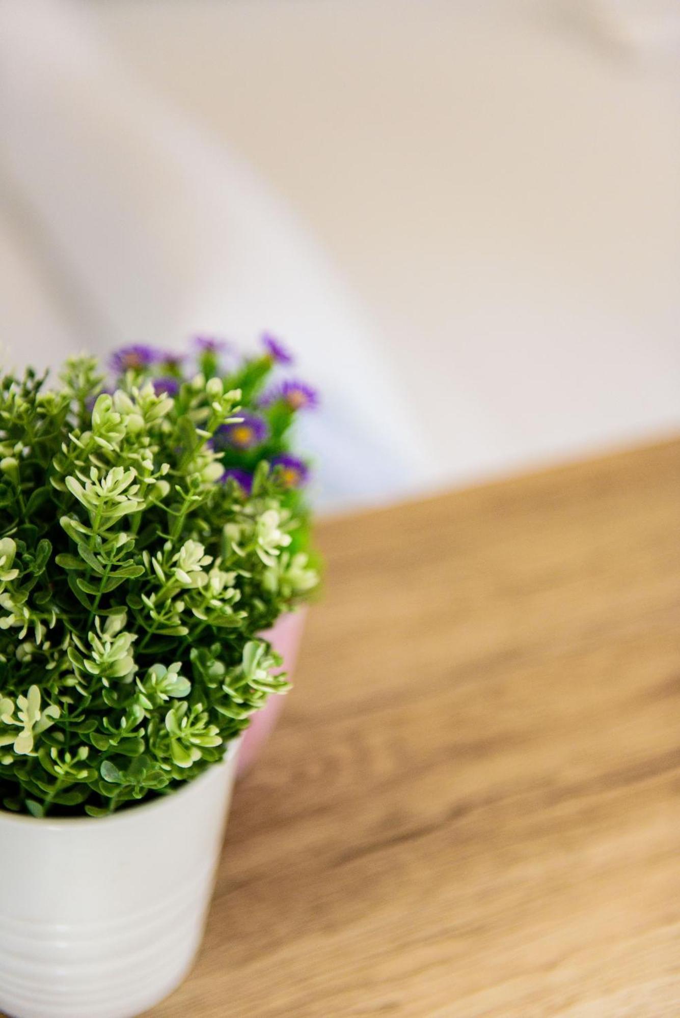 Livingtarifa Apartamento Bianco מראה חיצוני תמונה